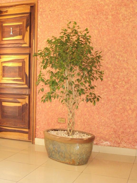 Hotel Aloha Managua Ngoại thất bức ảnh
